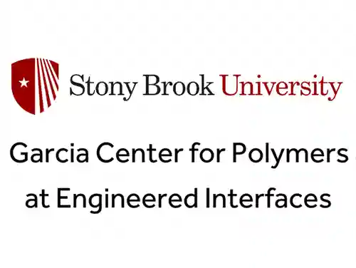 Stony Brook University Garcia Center Research Experience for High School Students