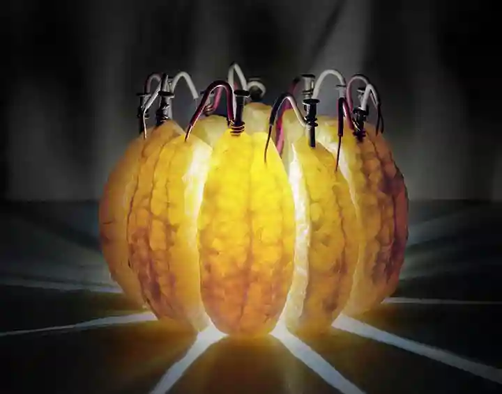 Orange Battery 2012 by Caleb Charland