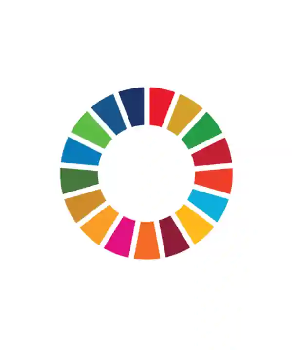 SDG Pinwheel