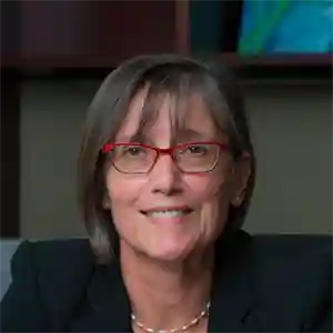 Efi Foufoula-Georgiou